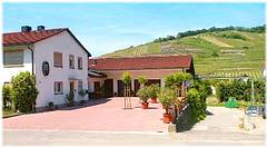 Weingut_Michel