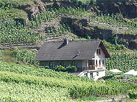 weingut-moenchberger-hof